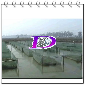 供应聚乙烯黄鳝泥鳅养殖网箱
